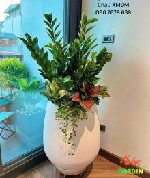 Chậu Xi Măng Đá Mài Giọt Nước 45x80