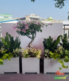 Chậu Xi Măng Đá Mài Chữ Nhật Có Chân 30x30x80 Cm