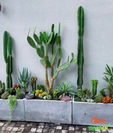 Chậu Xi Măng Đá Mài Chữ Nhật 60x30x30 Cm