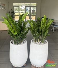 Chậu Xi Măng Đá Mài Giọt Nước 40x60
