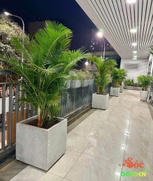 Chậu Xi Măng Đá Mài Vuông 50cmx50cm