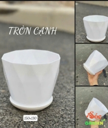 Chậu kim cương tròn cạnh 15x13 cm