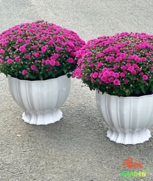 Chậu Nhựa Lồng Đèn 330x260x230 Cm