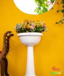 Chậu Ly Lớn Trung 450x600 Cm