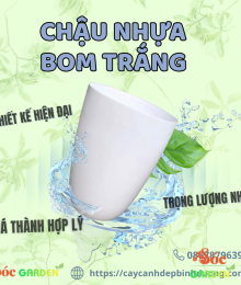 Chậu nhựa bom trắng 30x40 cm