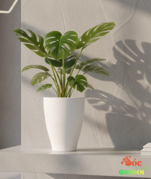 Chậu nhựa ống trắng Chân ly cao cấp 34,5x47 cm