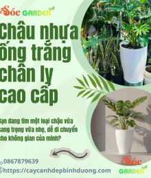 Chậu nhựa ống trắng Chân ly cao cấp 34,5x47 cm