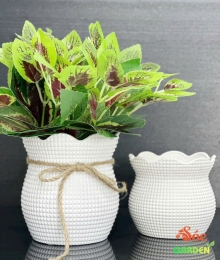 Chậu túi lộc 14cm 