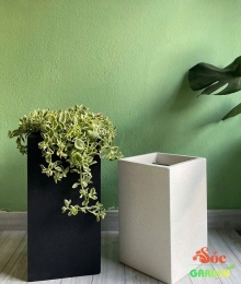 Chậu trụ vuông có đường kính 30 và chiều cao 58