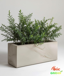 Chậu Xi Măng Đá Mài Chữ Nhật 100x30x30 Cm