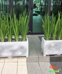 Chậu Xi Măng Đá Mài Chữ Nhật Có Chân 30x30x80 Cm