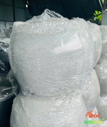 Chậu xi măng đá mài trái banh 35x31 cm