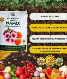 Đất Trồng Cây Đa Dụng – Tiện Lợi, Giàu Dinh Dưỡng, Phù Hợp Mọi Loại Cây