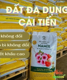 Đất Trồng Cây Đa Dụng – Giải Pháp Toàn Diện Cho Cây Cảnh