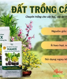 Đất trồng cây cảnh Namix – Nâng Tầm Vẻ Đẹp, Khơi Nguồn Sức Sống