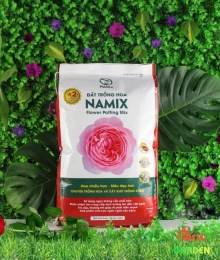 Đất Trồng Hoa – Bí Quyết Giúp Hoa Nở Đẹp, Lâu Tàn