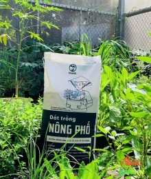 Đất Trồng Nông Phố – Địa Chỉ Uy Tín Cho Giải Pháp Đất Trồng Sạch