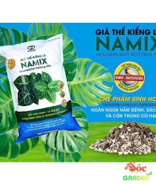 Giá Thể Kiểng Lá – Môi Trường Lý Tưởng Cho Lá Xanh Mướt & Bền Đẹp