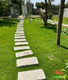 Đá bước bộ chữ nhật 30x60x5 cm