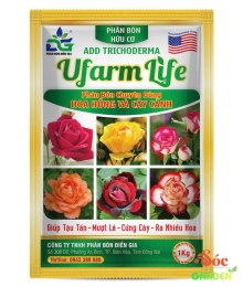 Phân bón chuyên dùng cho hoa hồng và cây cảnh