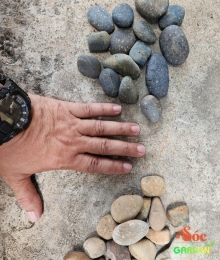 Sỏi cuội trải nền 