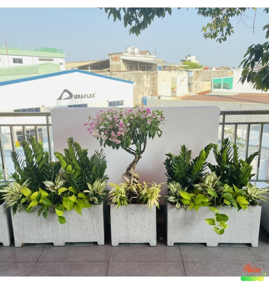 Chậu Xi Măng Đá Mài Chữ Nhật Có Chân 40x40x100 cm 