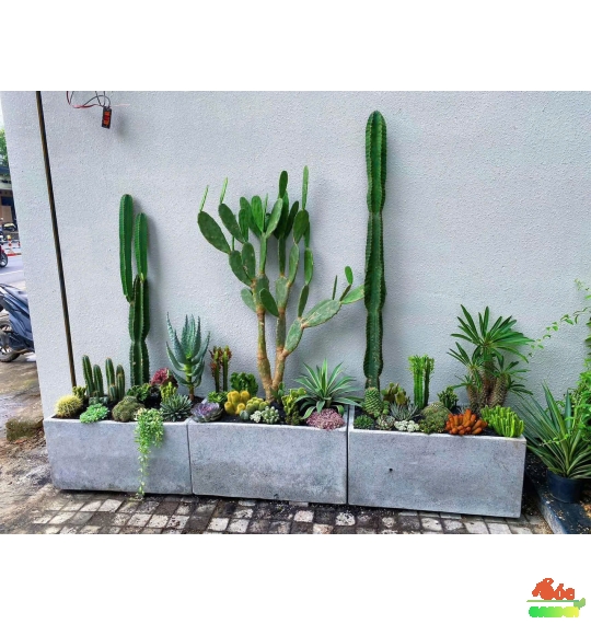 Chậu Xi Măng Đá Mài Chữ Nhật 80x30x40 Cm  