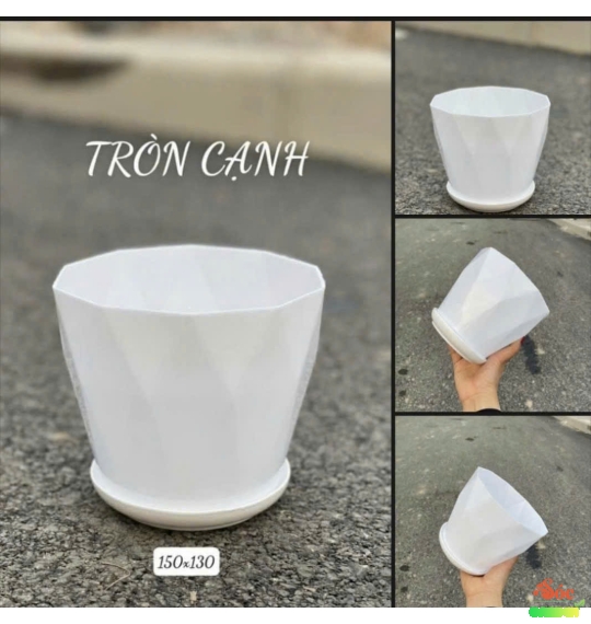 Chậu kim cương tròn cạnh 15x13 cm