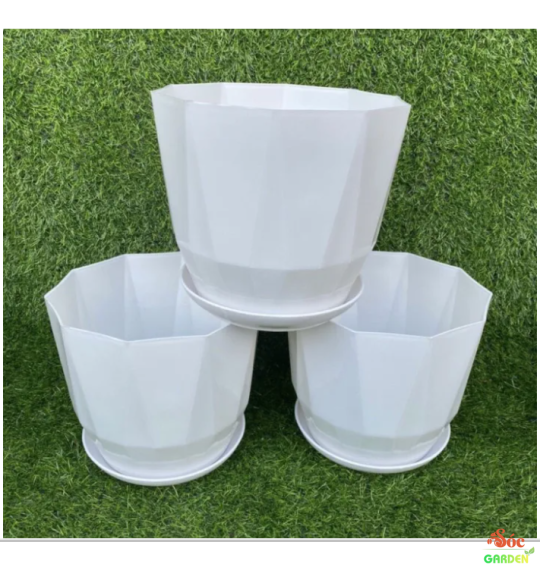 Chậu kim cương tròn cạnh 15x13 cm