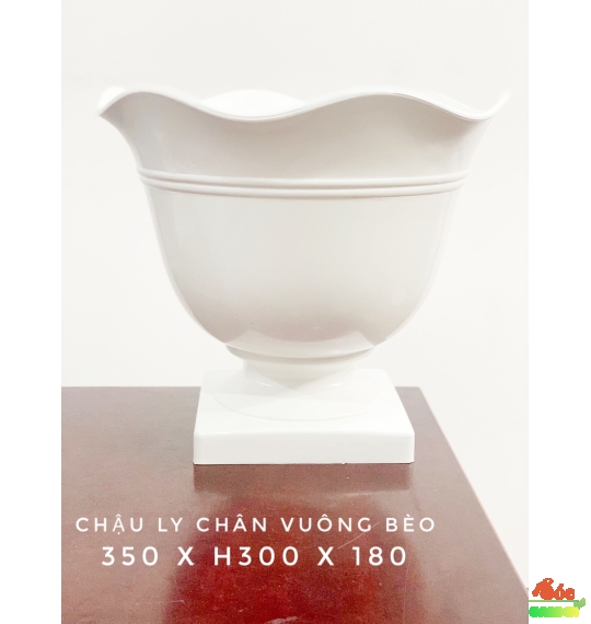 Chậu Ly Chân Vuông Bèo 350x300x180 Cm