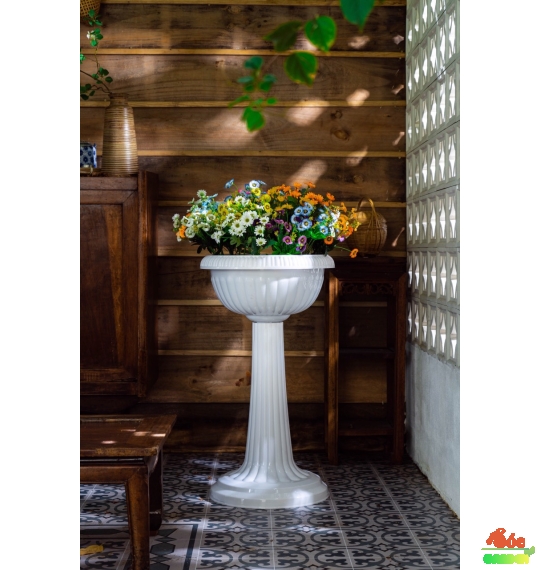 Chậu Ly Lớn Trung 450x600 Cm