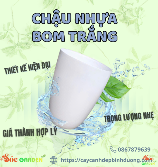 Chậu nhựa bom trắng 30x40 cm