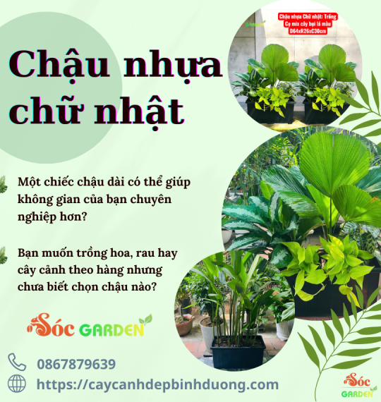 Chậu nhựa chữ nhật 64x26x30 cm 