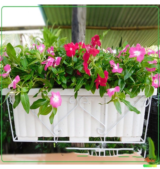 Khung sắt vuông móc ban công 25x20cm 