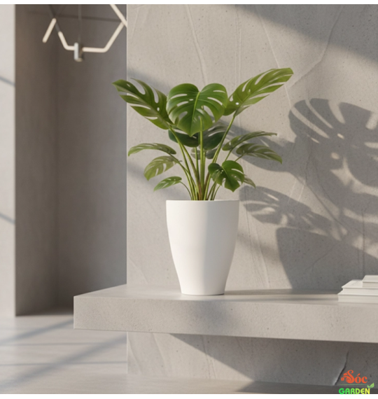 Chậu nhựa ống trắng Chân ly cao cấp 34,5x47 cm