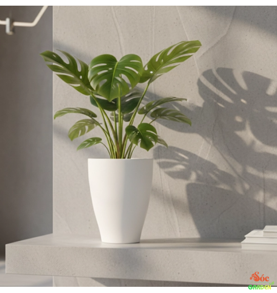 Chậu nhựa ống trắng Chân ly cao cấp 34,5x47 cm