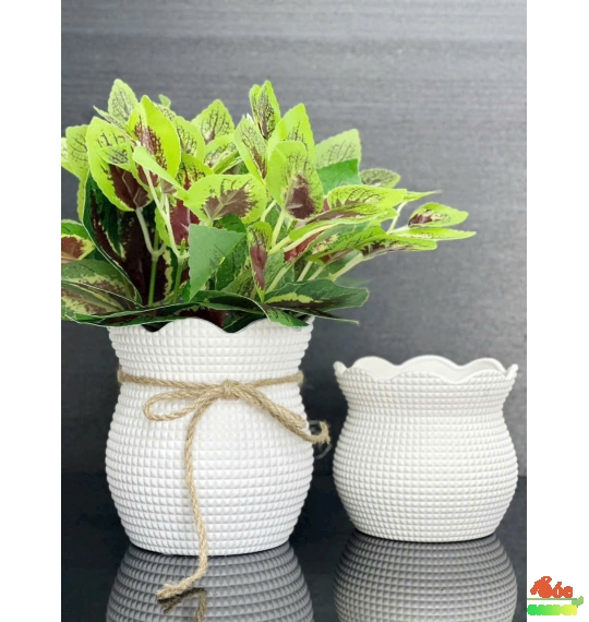 Chậu túi lộc 14cm 