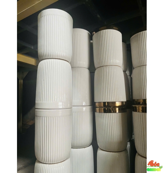 Chậu ống sứ trắng lùn bộ 2 