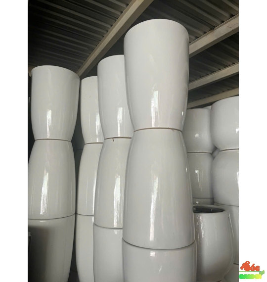 Chậu ống sứ trắng lùn bộ 2 