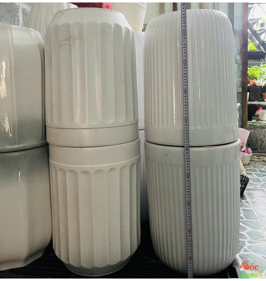 Chậu sứ ống trắng cao bộ 3 cái