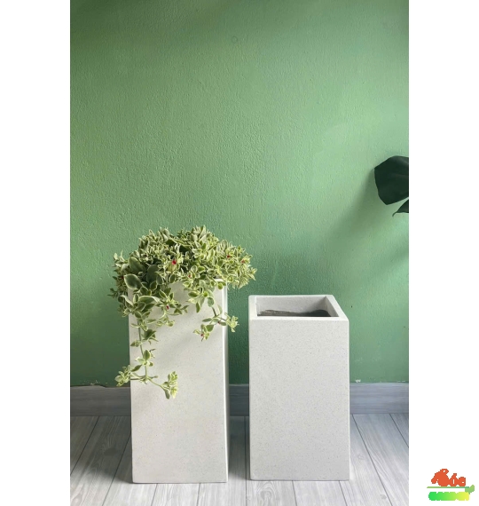 Chậu trụ vuông có đường kính 30 và chiều cao 58