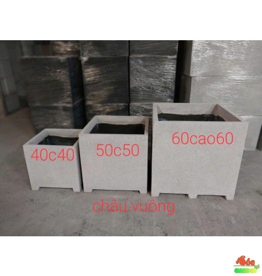 Chậu Xi Măng Đá Mài Vuông Có Chân 50x50 cm