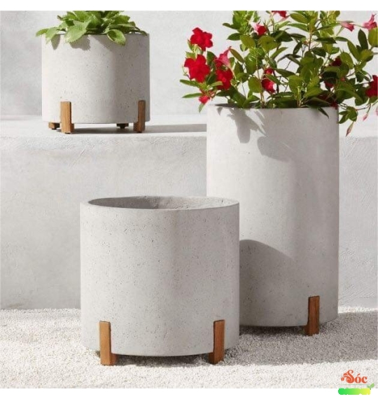 Chậu trụ tròn có đường kính 40 và chiều cao 60cm