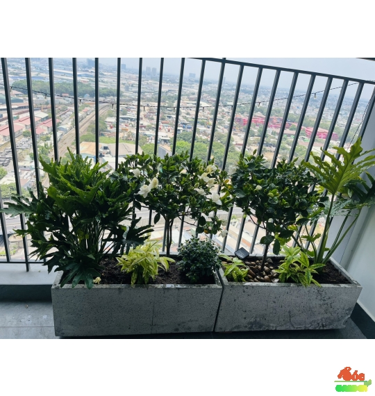 Chậu Xi Măng Đá Mài Chữ Nhật 80x30x40 Cm  