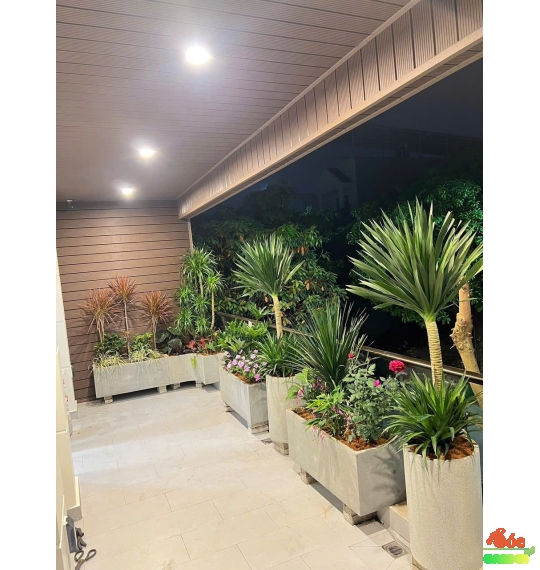 Chậu Xi Măng Đá Mài Chữ Nhật 80x30x30 Cm 