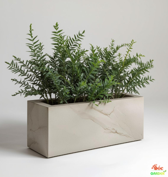 Chậu Xi Măng Đá Mài Chữ Nhật 80x40x40 Cm  