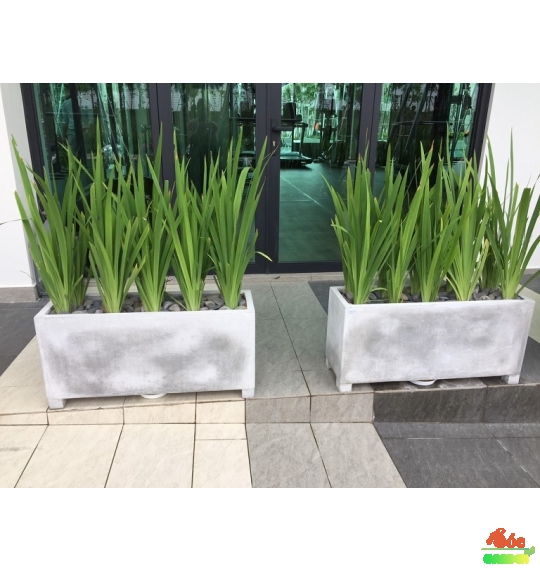 Chậu Xi Măng Đá Mài Chữ Nhật Có Chân 30x30x80 Cm