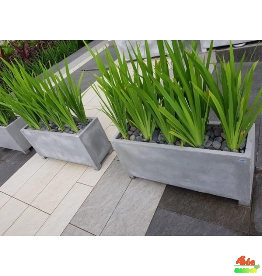 Chậu Xi Măng Đá Mài Chữ Nhật Có Chân 30x30x60 Cm