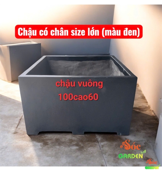 Chậu Xi Măng Đá Mài Vuông Có Chân 50x50 cm