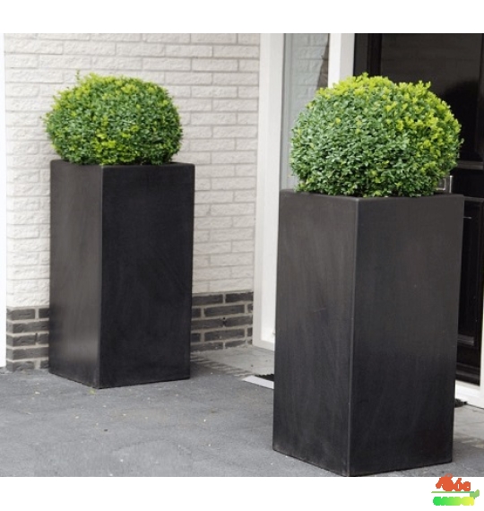 Chậu trụ vuông có đường kính 25 và chiều cao 50